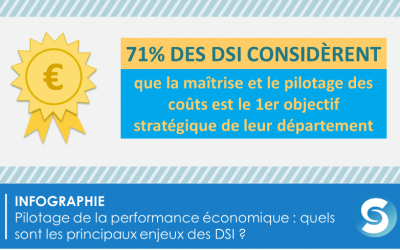 [Infographie] le DSI et le pilotage de la performance économique