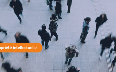 La rationalisation du panel fournisseurs dans les achats de prestations intellectuelles.