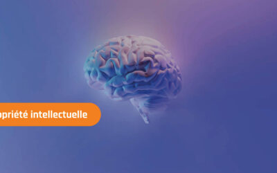 Gestion de la propriété intellectuelle dans les achats P2i